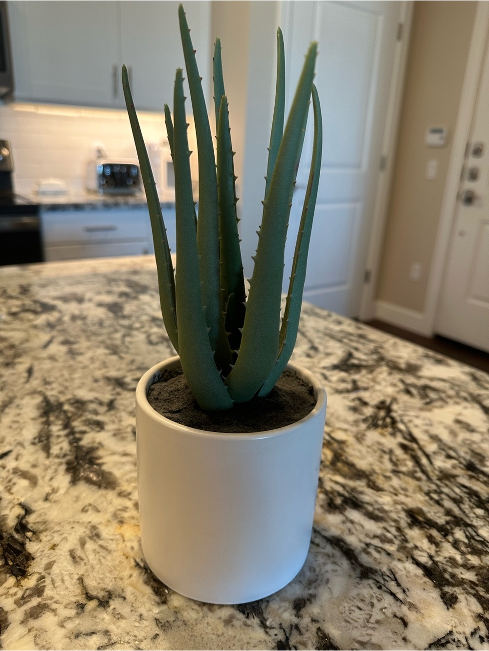 Realistic Green Faux Aloe Succulent in White Ceramic Pot
